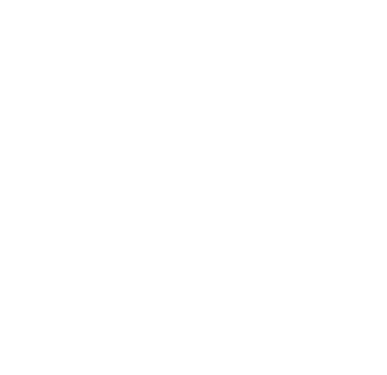Bug-X Logo